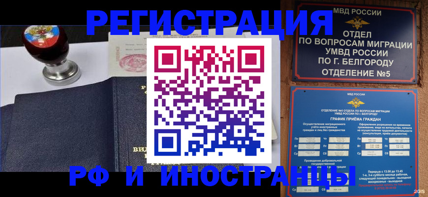 временная регистрация поиск в Моршанске